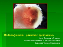 Презентация по биологии для 9 класса Индивидуальное развитие организмов