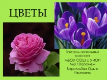 Презентация к уроку окружающего мира на тему  Цветы (3 класс)