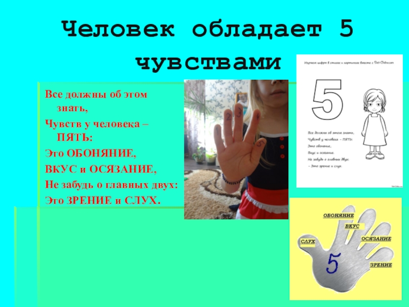 5 чувств человека. Основные 5 чувств человека. Все должны об этом знать чувств у человека пять. Стихотворение про органы чувств.