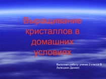 Презентация Выращивание кристаллов в домашних условиях