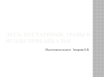 Леса Сибири