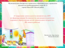 Презентация для педагогов ДОУ Содержание деятельности воспитателя ДОУ по формированию безопасности жизнедеятельности и здорового образа жизни детей дошкольного возраста. (Из опыта работы)