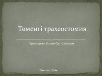 Ветеринария пәнінен презентация: Төменгі трахеостомия