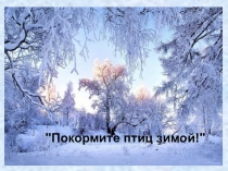 Презентация по биологии на тему Покормите птиц зимой! (5-7 класс)