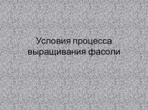 Ученический проект о выращивании фасоли из семени (1 вид)
