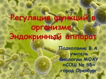 Презентация по биологии на тему: Регуляция функций организма. Эндокринный аппарат (8 класс)