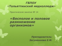Презентация к практическому занятию по биологии на тему Половое размножение организмов
