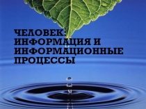 Человек: информация и информационные процессы