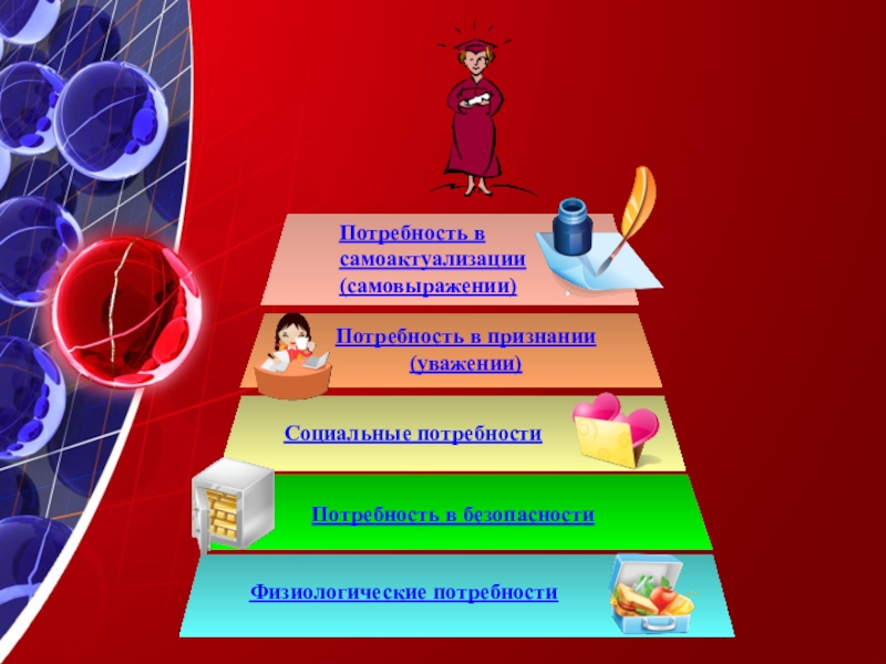 Роль потребностей. Основные физиологические потребности человека. Товары для физиологических потребностей. Пирамида потребностей Маслоу. Потребность в самоактуализации.