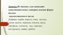 Презентация к уроку Имя существительное, которое имеет только форму единственного числа