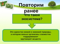 Презентация по окружающему миру на тему Лесные производители(3 класс)