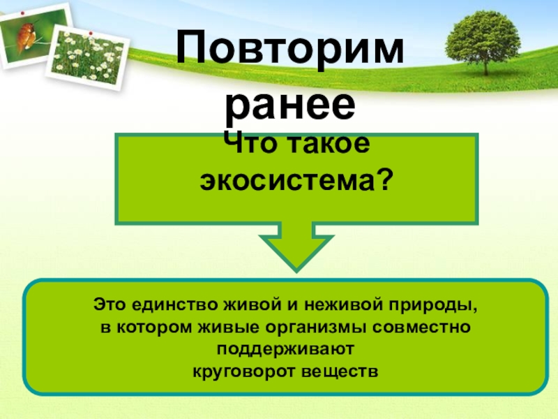 Единство живой природы. Экосистема это единство живой и неживой природы. Лес сложное единство живой и неживой природы. Лес луг водоем единство живой и неживой природы круговорот веществ. Почему лес называют единством живой и неживой природы.