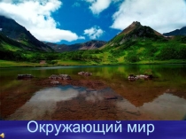 Презентация по теме:Твой адрес в этом мире. Что нас окружает(2 класс)