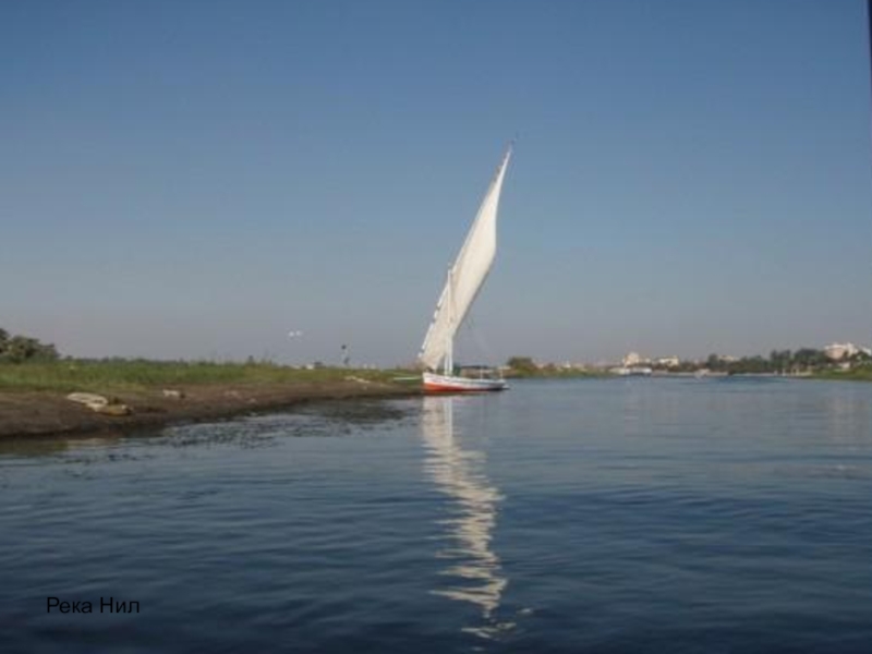 Презентация по географии Внутренние воды Африки Река Нил Река Нил