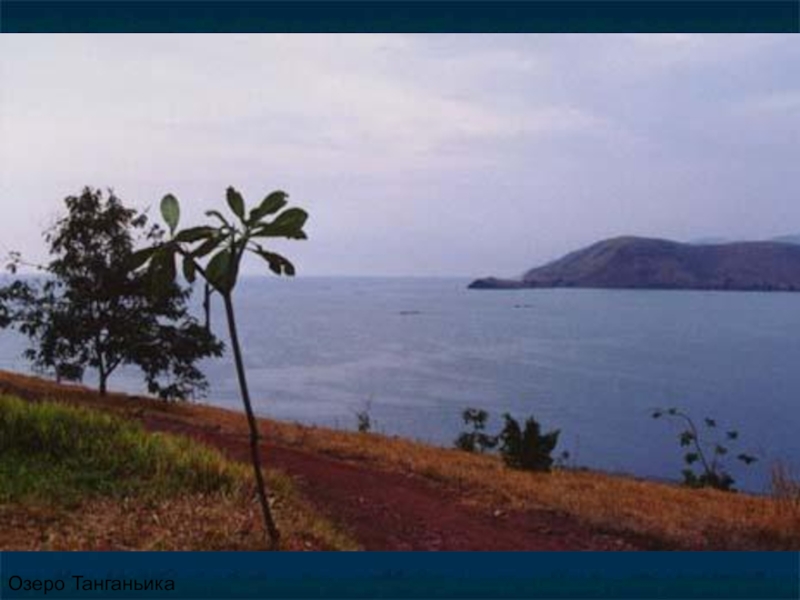 Презентация по географии Внутренние воды Африки Озеро Танганьика Озеро Танганьика