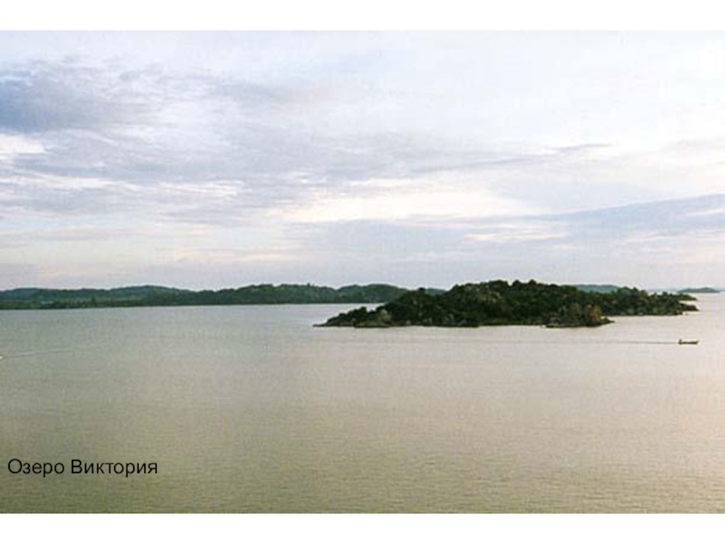 Презентация по географии Внутренние воды Африки Озеро Виктория Озеро Виктория