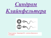 Электронный образовательный ресурс к уроку биологии по теме Синдром Клайнфельтера