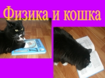 Презентационный урок по физике на тему Физика и кошка