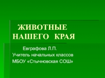 Презентация по окружающему миру Животные нашего края