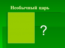 Презентация по истории на тему НЕобычный царь (4 класс)
