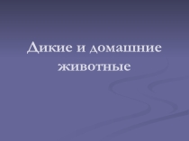 Презентация по окружающему миру Животные(1класс)