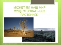 Презентация по крымоведению Роль растений в природе и в жизни человека