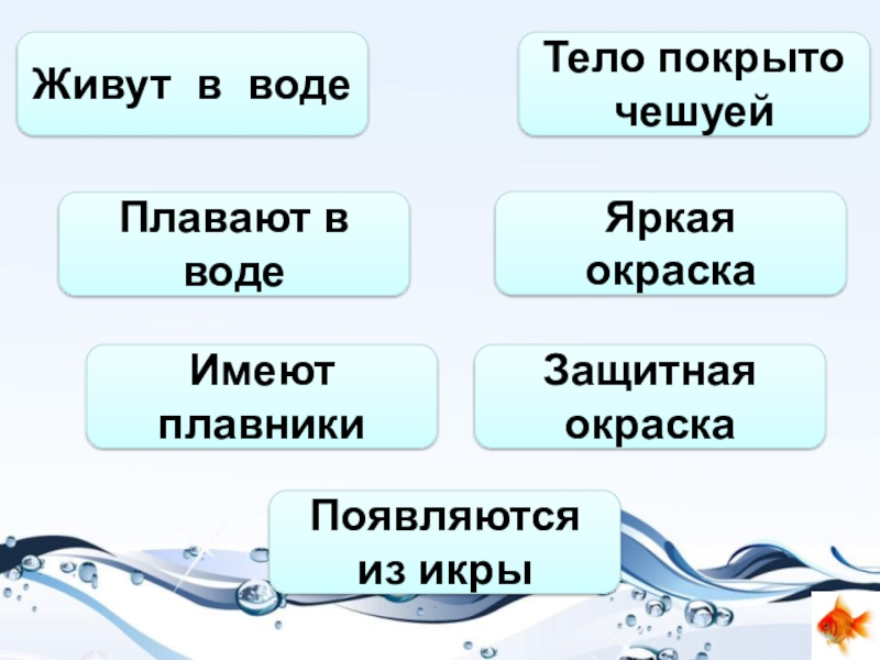 1 класс окружающий мир кто такие рыбы презентация 1 класс плешаков