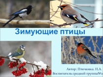 Зимующие птицы