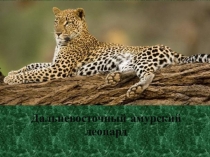 Презентация к творческому заданию семейной команды на конкурсе Теплый дом