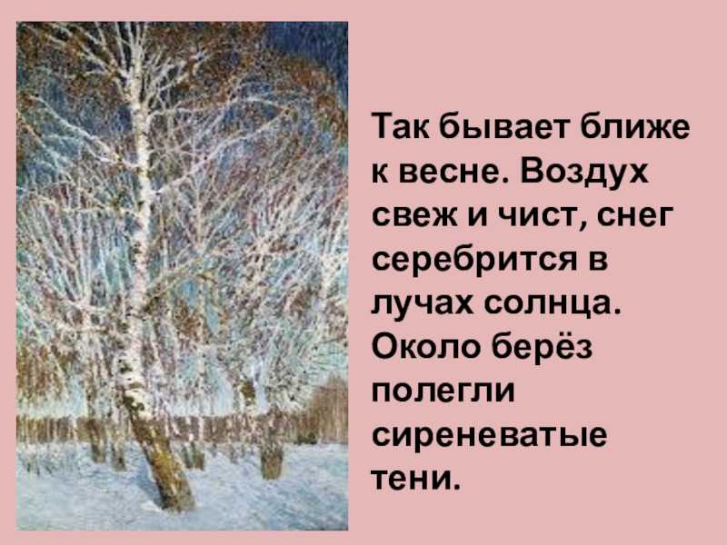 Так бывает ближе к весне. Воздух свеж и чист, снег серебрится в лучах солнца. Около берёз полегли