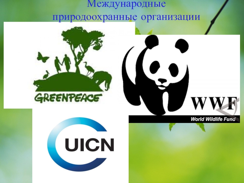 Природные организации россии. Природоохранные организации. Прироохранные организация. Международные природоохранительные организации. Международные экологические организации.