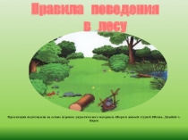 Презентация Правила поведения в лесу