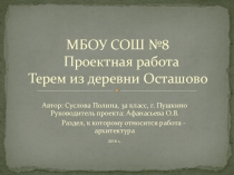 Проектная работа  Осташовский терем (3 класс)