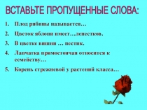 Презентация к уроку по биологии на тему Семейство паслёновые ( 6 класс)