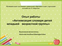Опыт работы Активизация словаря детей младшей группы