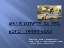 Мы в ответе за тех, кого приручили