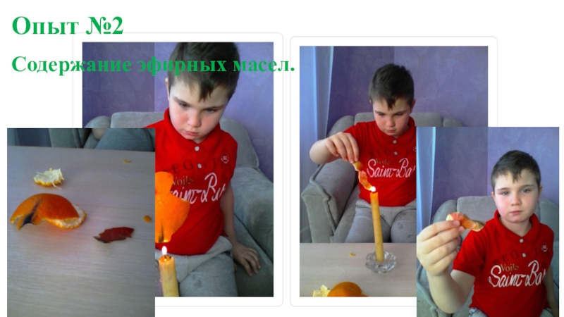 Презентация. Школьная научно-исследовательская конференцияНаука. Творчество. Исследование.Битва фруктов: апельсин или яблоко? (3-4 класс) Опыт №2Содержание эфирных масел. Опыт №2Содержание эфирных масел.