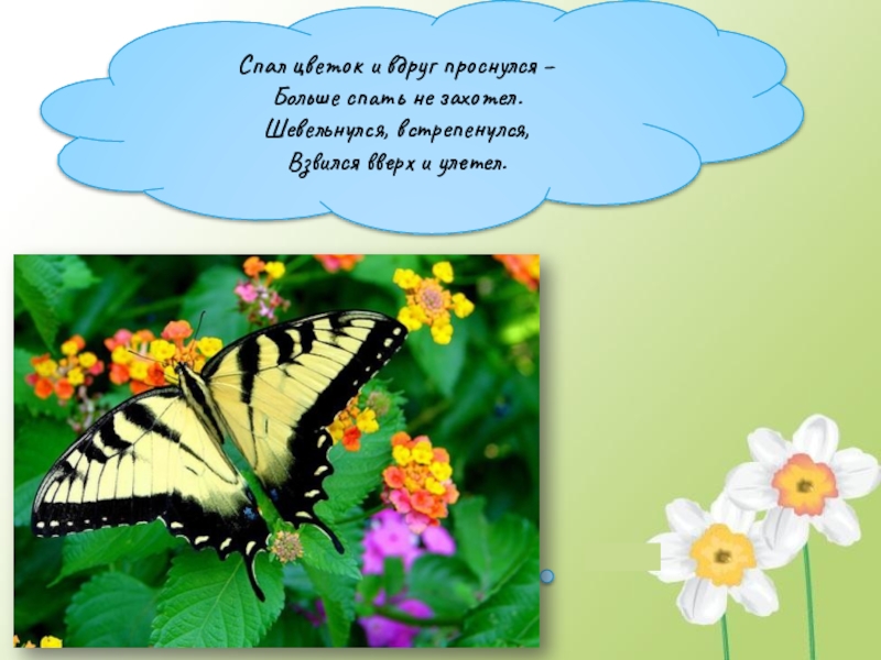 встрепенуться этимология. вдруг встрепенулось. вдруг встрепенулось. и редок сонный коростеля крик пунктуационный разбор. и.