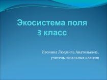 Презентация по окружающему миру на тему Поле