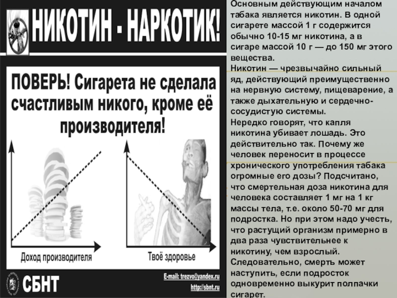 Действующее начало. Смертельная доза никотина за раз. Смертельная доза табака для человека. Смертельная доза сигарет для человека за раз. Смертельная доза сигарет для подростка.