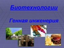 Презентация по биологии  Биотехнология