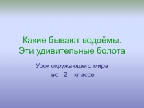 Презентация по окружающему миру Какие бывают водоёмы.Эти удивительные болота