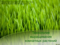 Презентация к уроку технологии на тему: Технология выращивания комнатных растений
