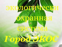 Презентация по окружающему миру на тему Экологическая охранная система
