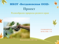 Презентация по окружающему миру: Природа Тульской области (2 класс)