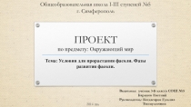 ИССЛЕДОВАТЕЛЬСКАЯ РАБОТА. Условия для прорастания фасоли. Фазы развития фасоли.