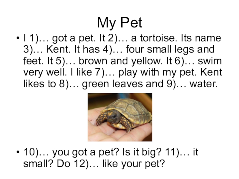My pet английский 5 класс. My Pet написать сочинение. Сочинение на английском языке my Pet 5 класс. My Pet 3 класс английский язык сочинение. Презентация по английскому языку my Pet.