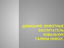 Домашние животные