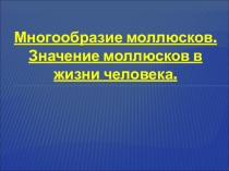 Презентация по биологии на темуМногообразие моллюсков. Значение моллюсков в жизни человека.