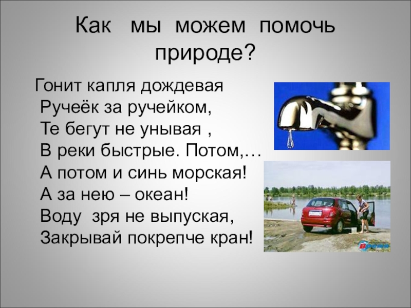 Как помочь природе проект